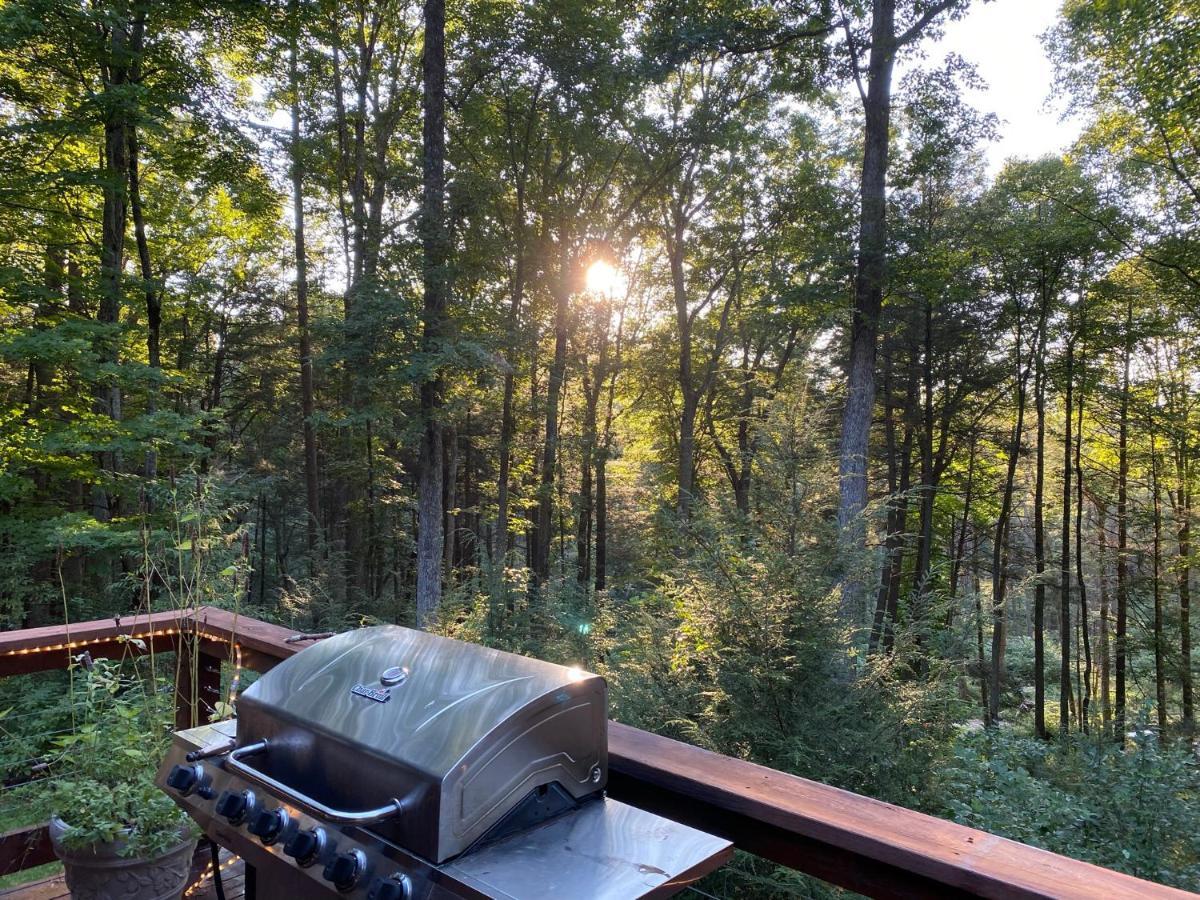 Beautiful Cabin On 83 Acres Near New River Gorge National Park Hico Exterior foto
