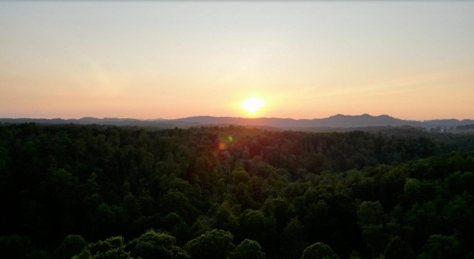 Beautiful Cabin On 83 Acres Near New River Gorge National Park Hico Exterior foto